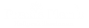 Praxis Plan B Logo